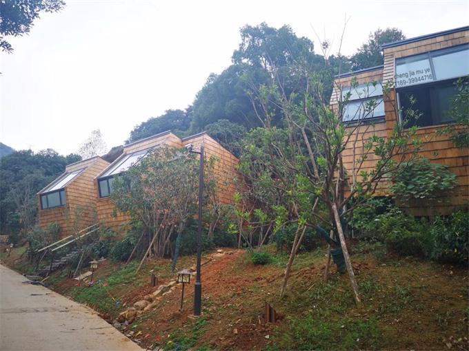 红雪松木瓦屋顶外墙装饰杭州森泊项目完美落幕